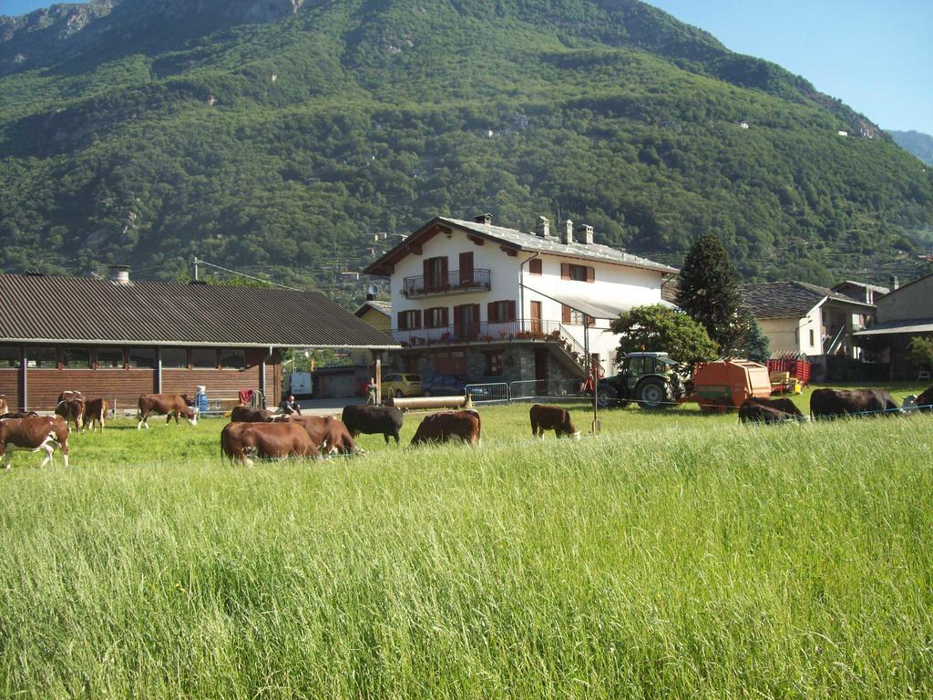 Agriturismo La Grange Pont-Saint-Martin Exterior photo