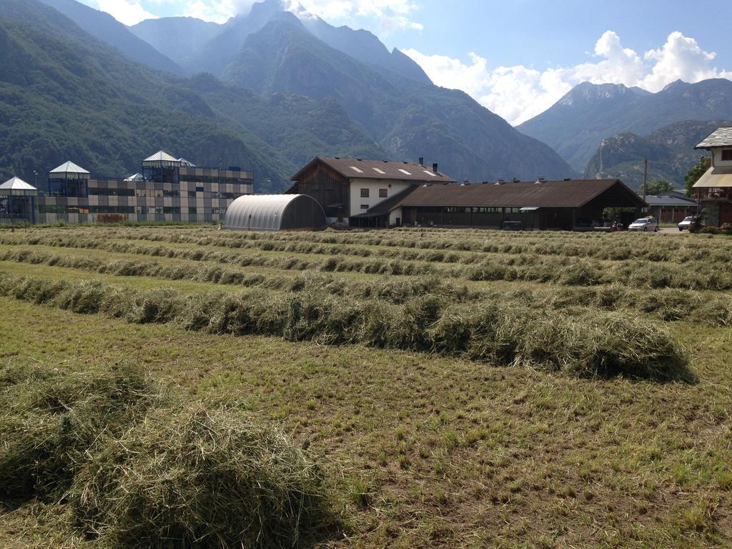 Agriturismo La Grange Pont-Saint-Martin Exterior photo